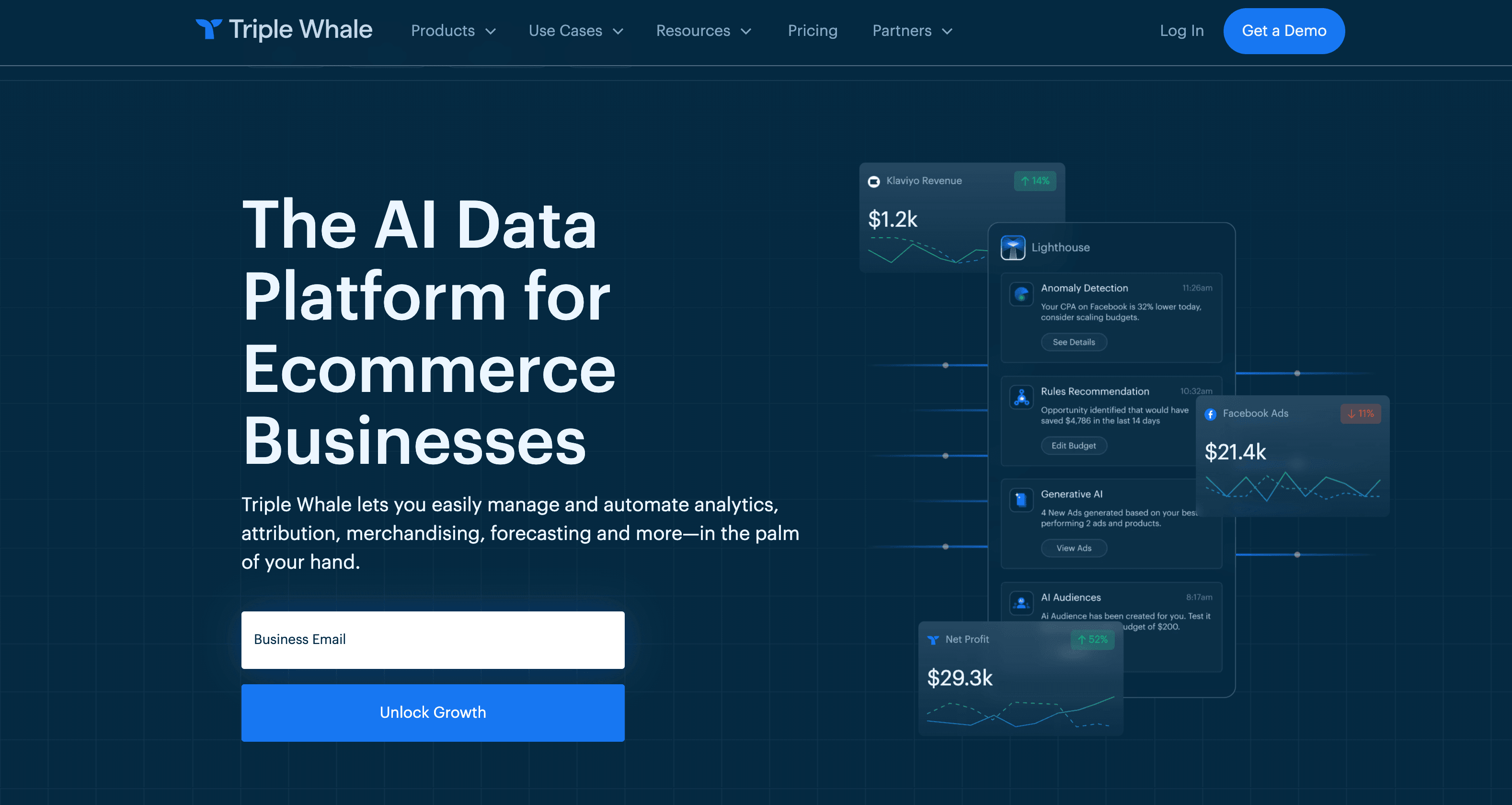 Triple Whale – The AI Data Platform for E-commerce